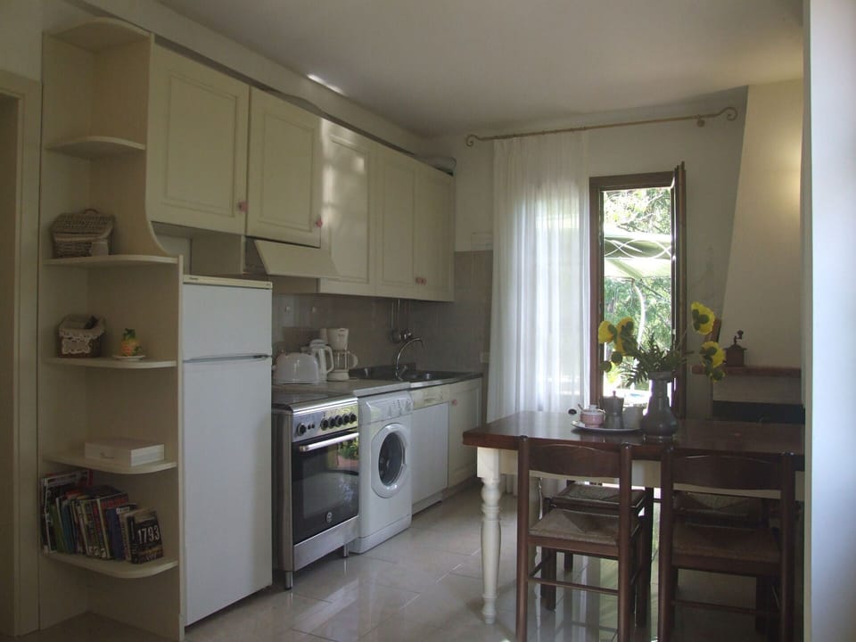 Countertop, Cabinetry, Property, Furniture, Kitchen Appliance, Kitchen Stove, Houseplant, Window, Wood, Home Appliance