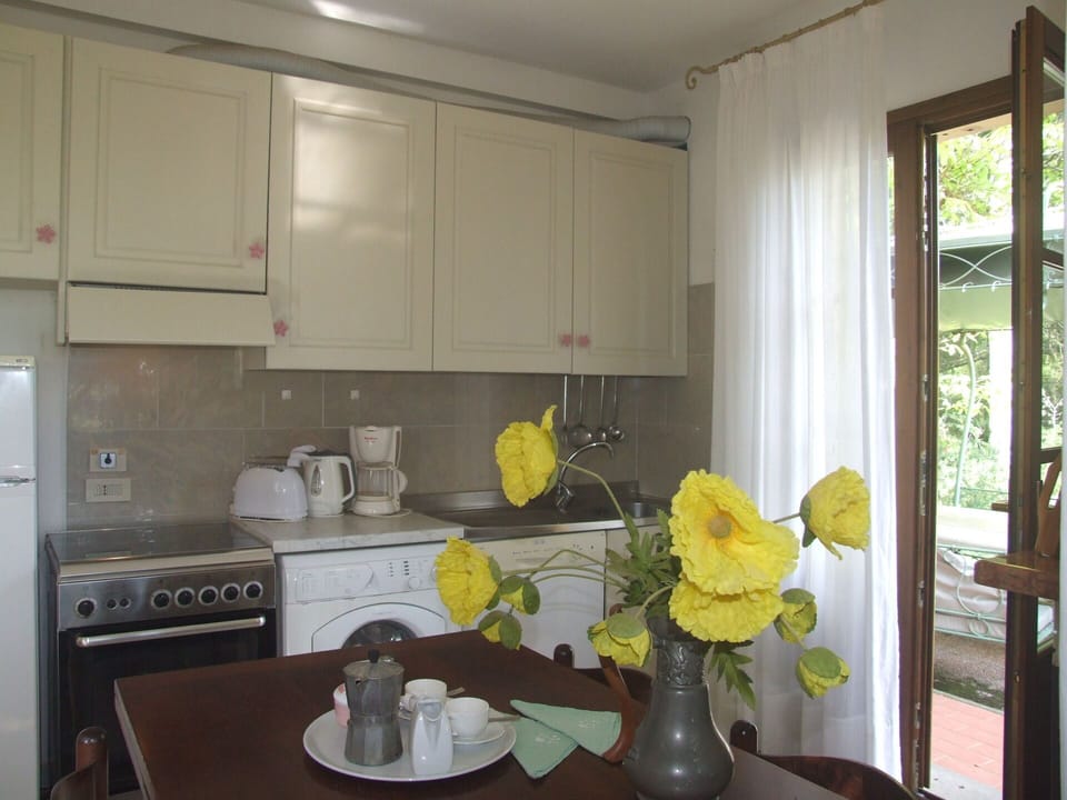 Furniture, Building, Property, Cabinetry, Table, Flower, Plant, Flowerpot, Countertop, Interior Design