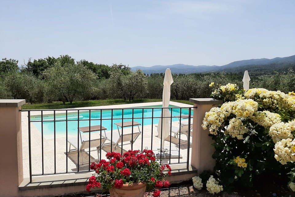 Garden, Outdoor, Pool