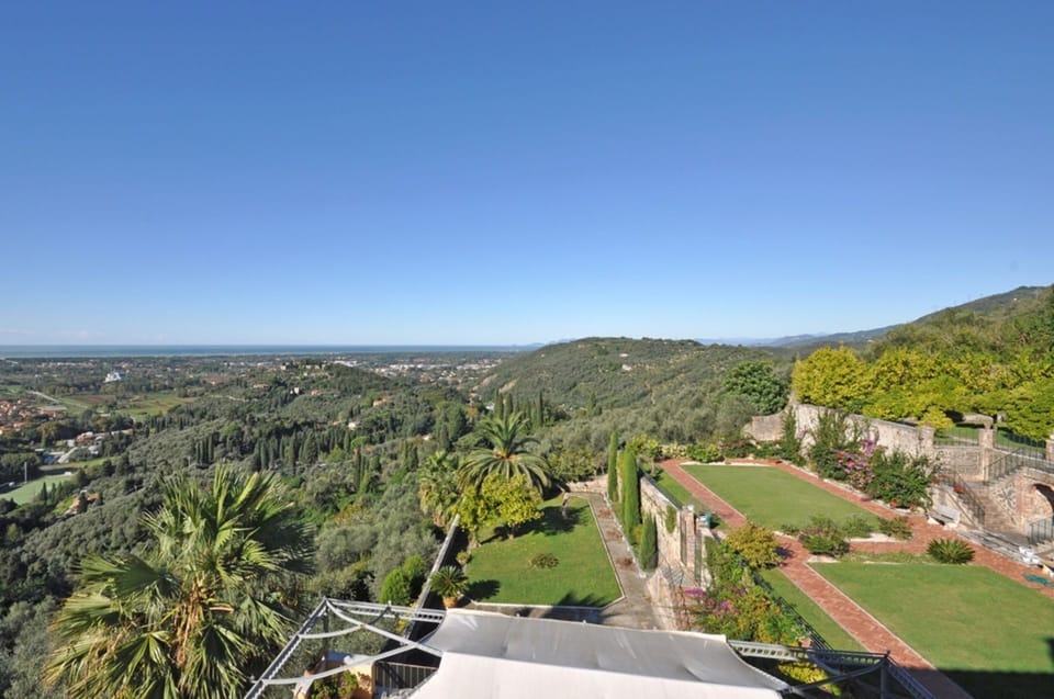 Garden, Scenic View