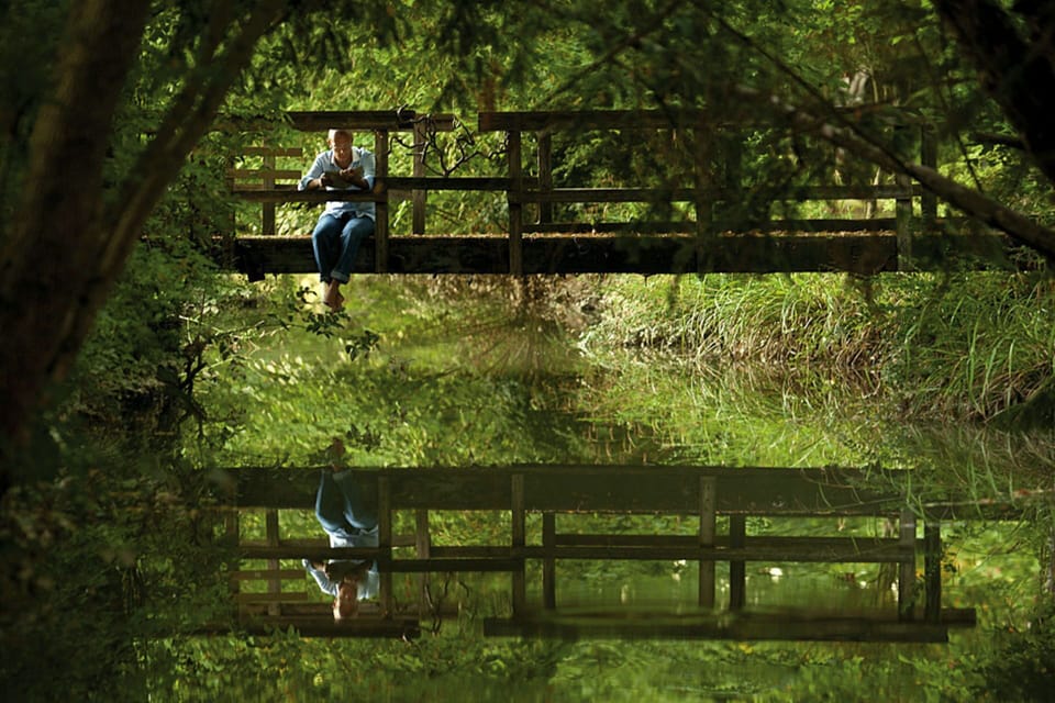 The centuries-old park around the house (18 acres - 9 hectars) is rich in ancient plants and trees and offers hidden corners for relax and sunset walks.