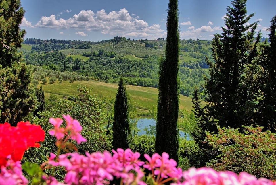Scenic View