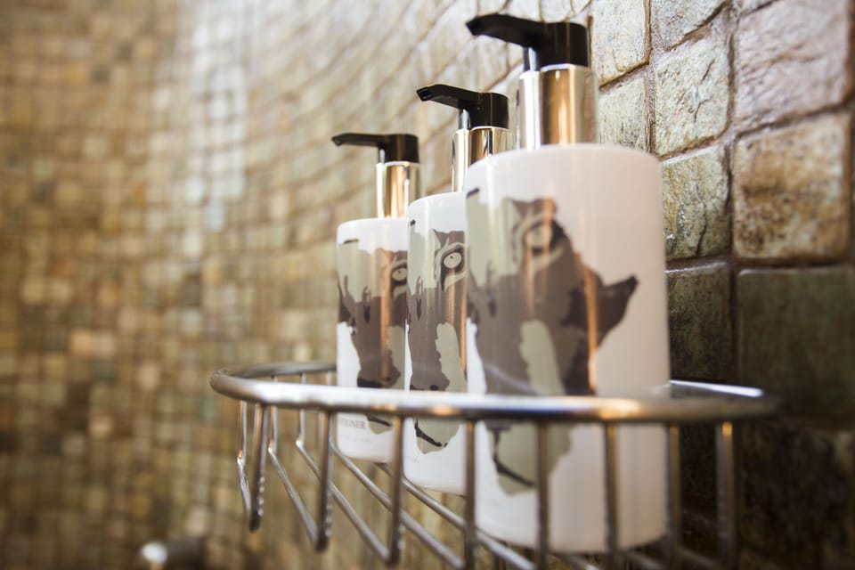 Luxury Chalet - Bushcamp | Bathroom amenities | Shower, designer toiletries, hair dryer, bathrobes