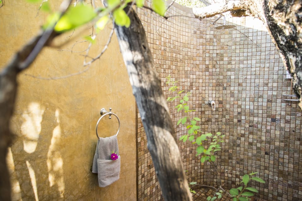 Luxury Chalet - Bushcamp | Bathroom | Shower, designer toiletries, hair dryer, bathrobes
