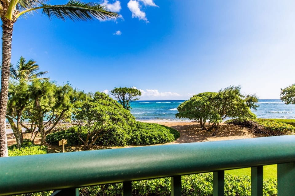 A207 Oceanfront