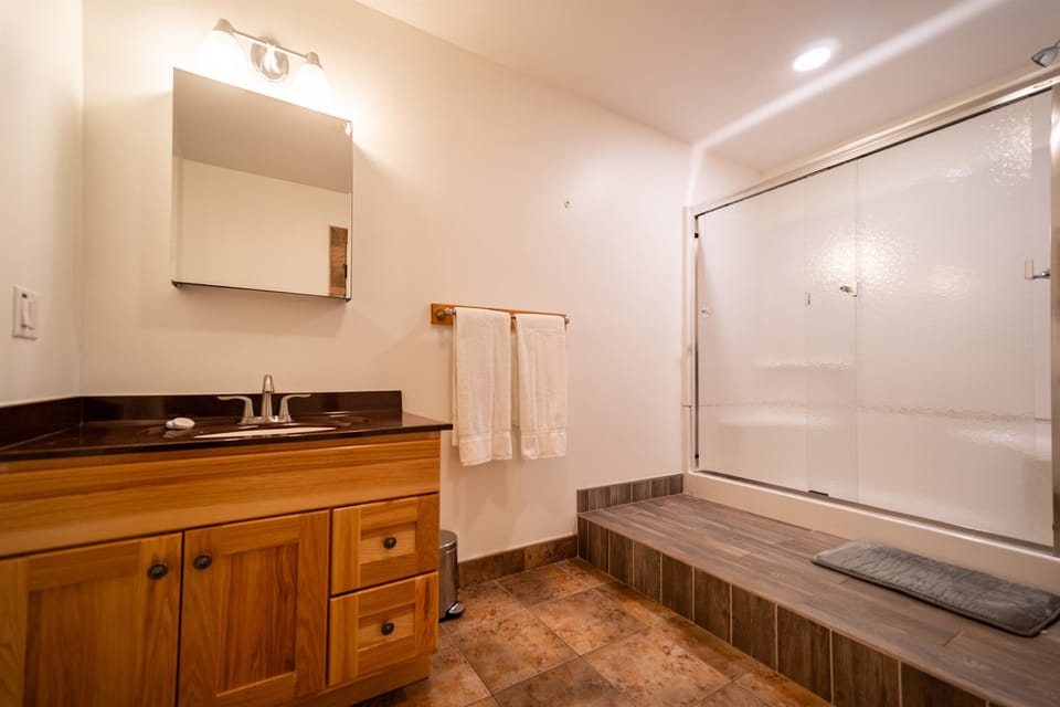 The lower level bathroom is fresh and clean with a walk-in shower, wood and granite vanity and hairdryer.