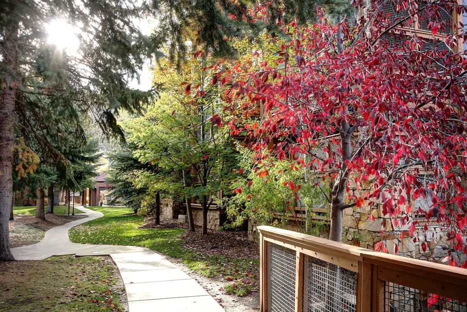 Park Station Condominium's running path lined with grass, evergreen and deciduous trees and short section of railing.