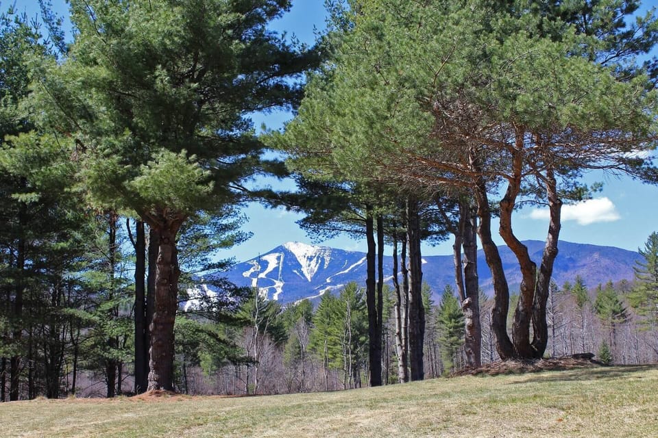 Striking view of Whiteface Mountain from the yard, deck, windows, sauna, and hot tub!