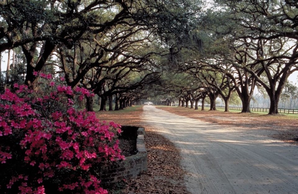 Historic Plantations, only 20 minutes away!
