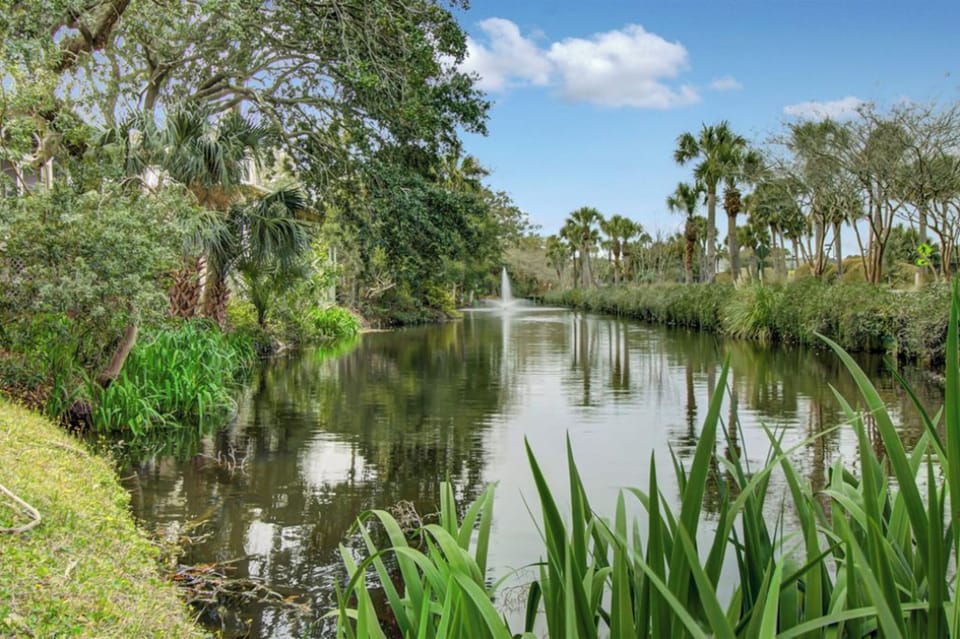 Lagoon.