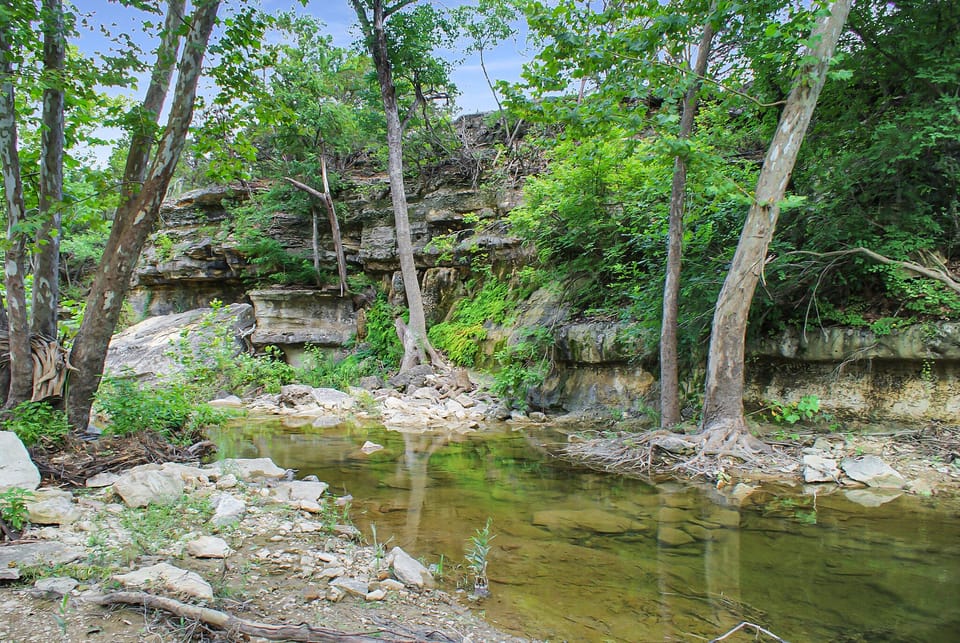 Smith Creek - right in your backyard