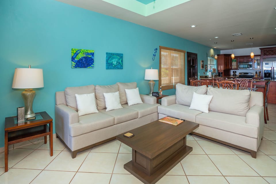Open living/dining/kitchen area
