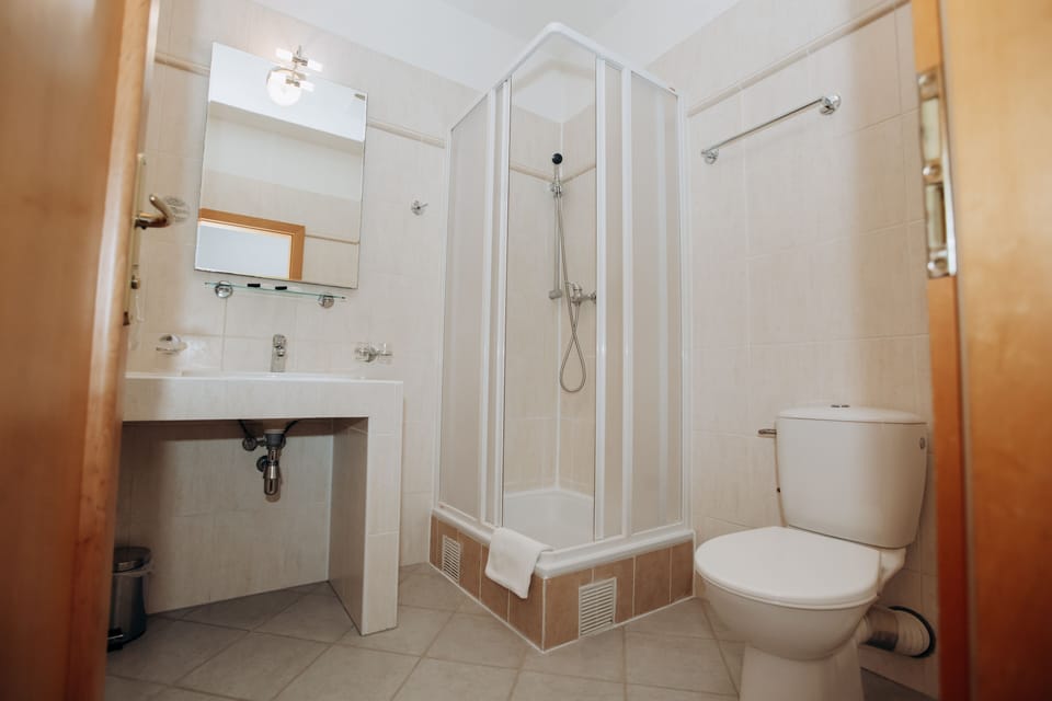 Combined shower/tub, free toiletries, hair dryer, towels