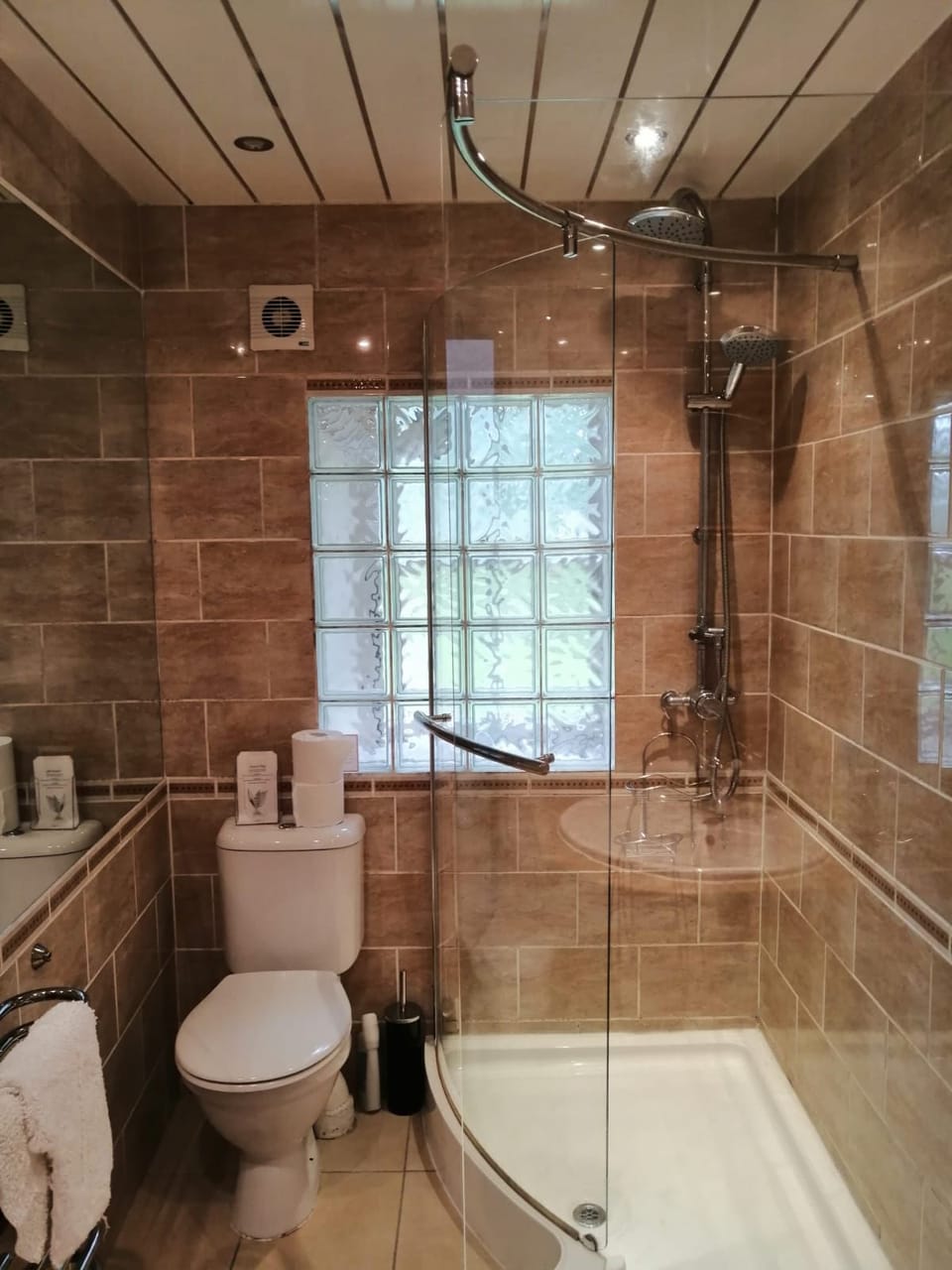 Toilet with walk in shower