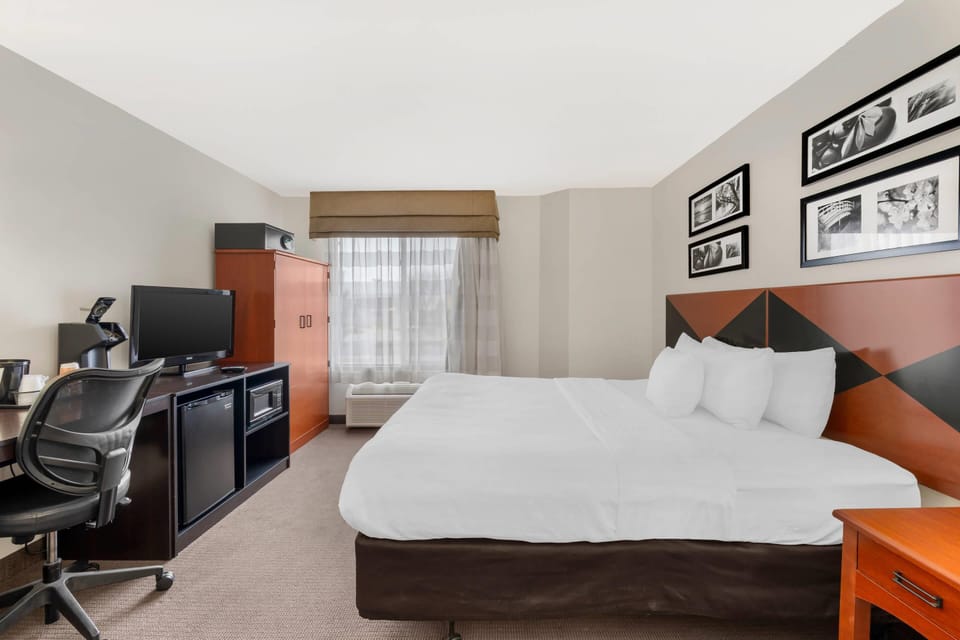 Room, 1 King Bed, Non Smoking | In-room safe, desk, iron/ironing board, cribs (free)