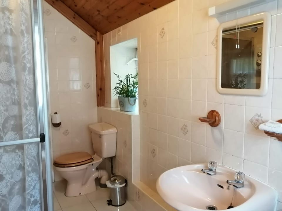 Shower and Toilet room
