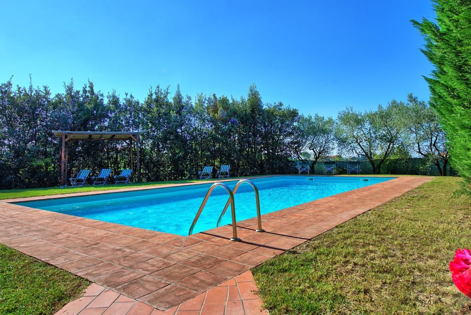 Garden, Pool