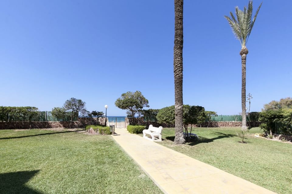 Garden and swimming pool
