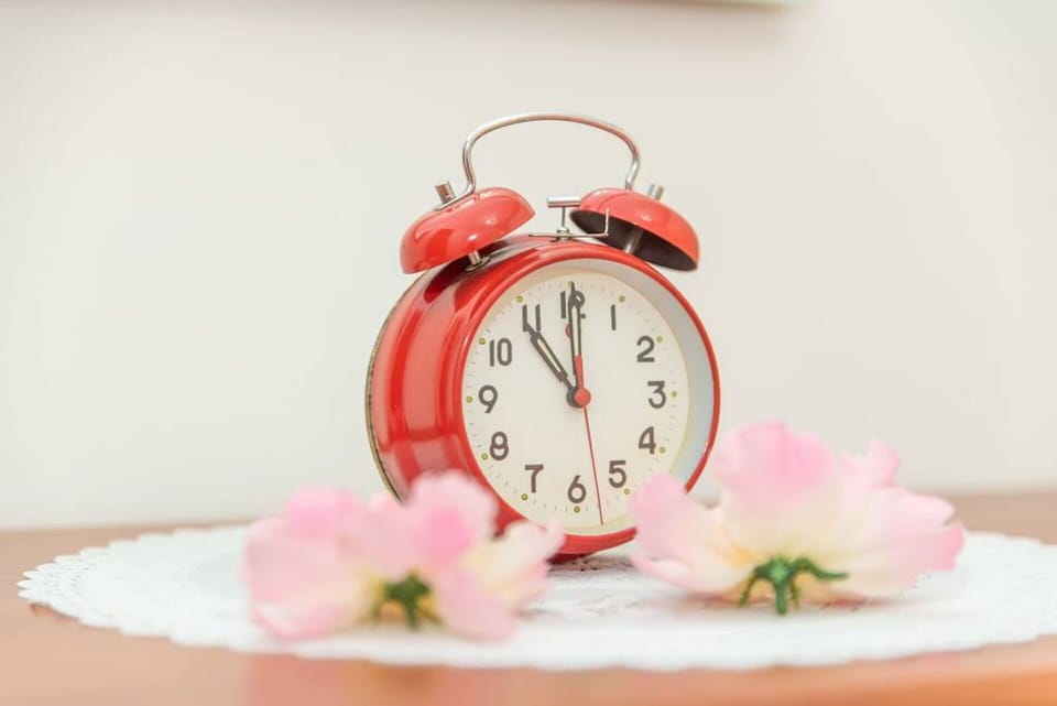 Red, Pink, Clock, Petal, Cut Flowers, Artificial Flower