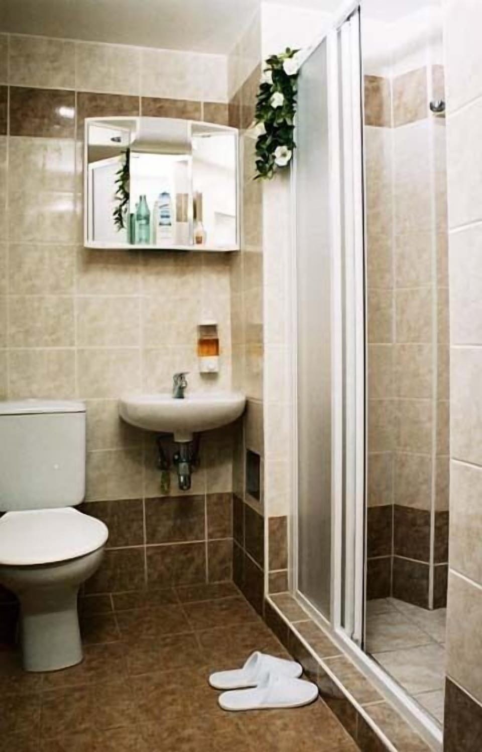 Hair dryer, towels