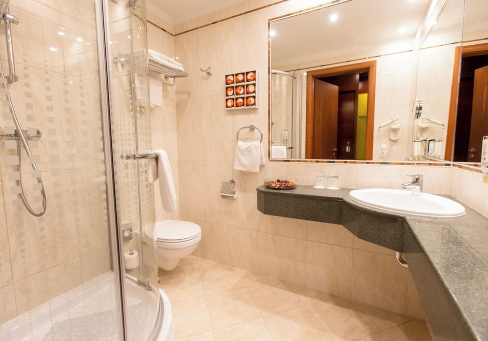 Shower, hair dryer, towels