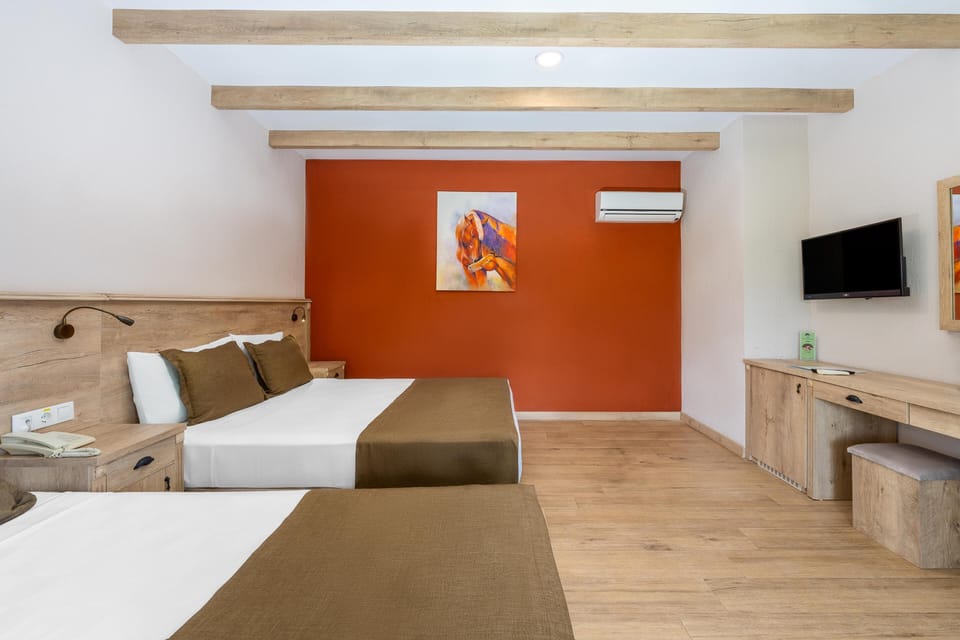 Minibar, in-room safe, WiFi (surcharge), bed sheets