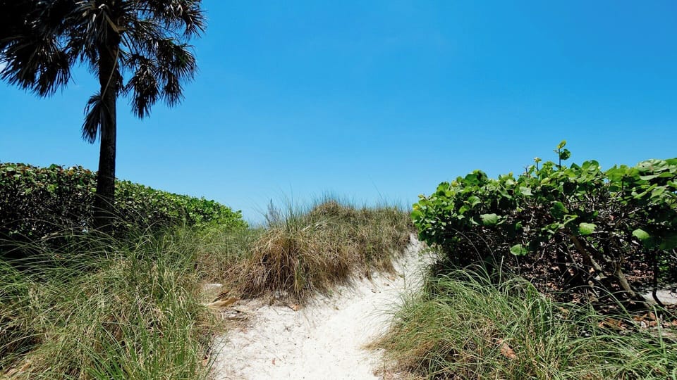 Beach Access Path
