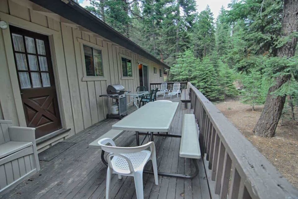 Back Deck in Summer