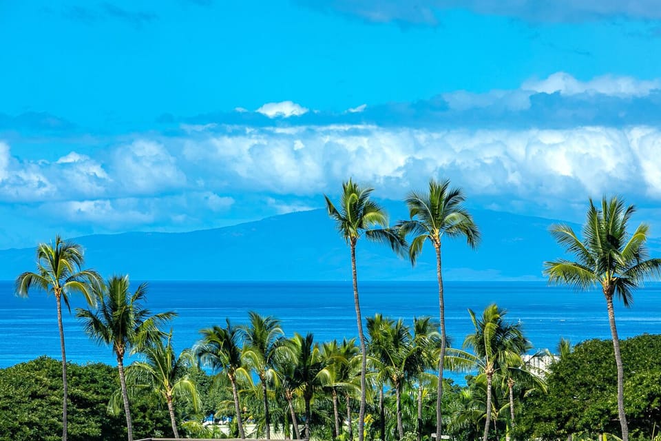 Beautiful Ocean views