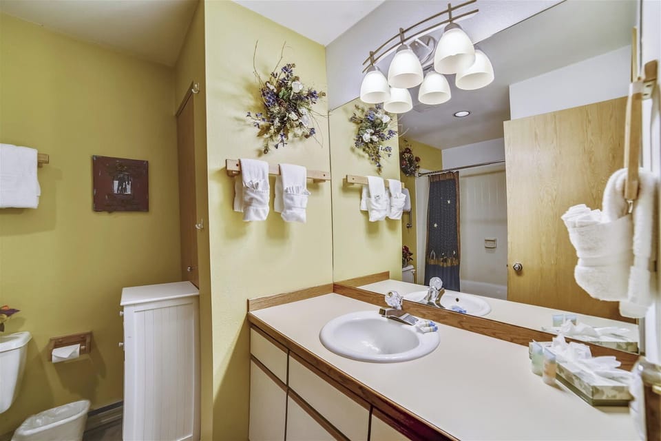CL309 Bathroom