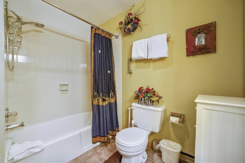 CL309 Bathroom