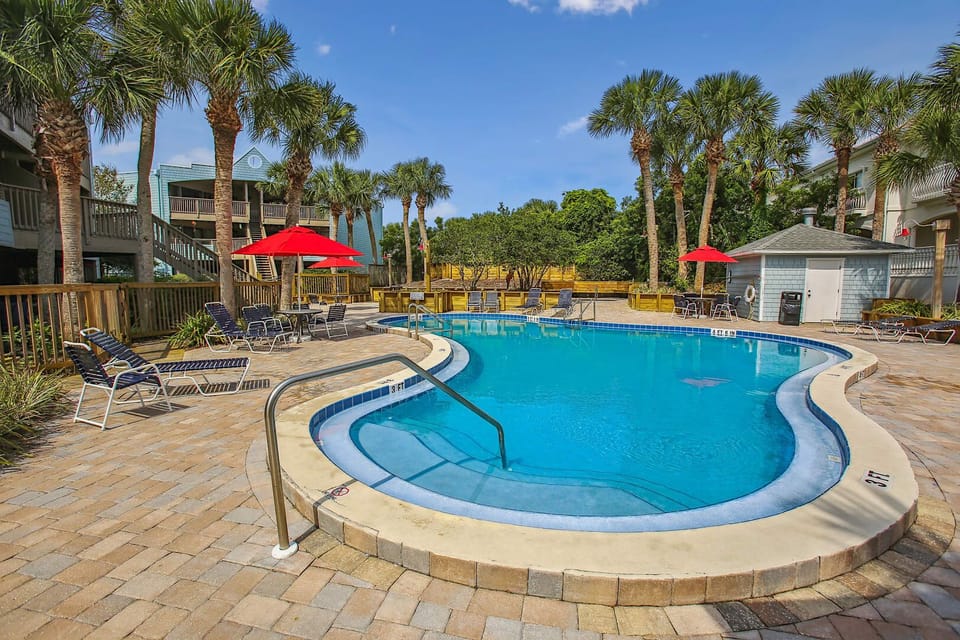 Palm framed pool area with sun loungers and shaded umbrellas.
