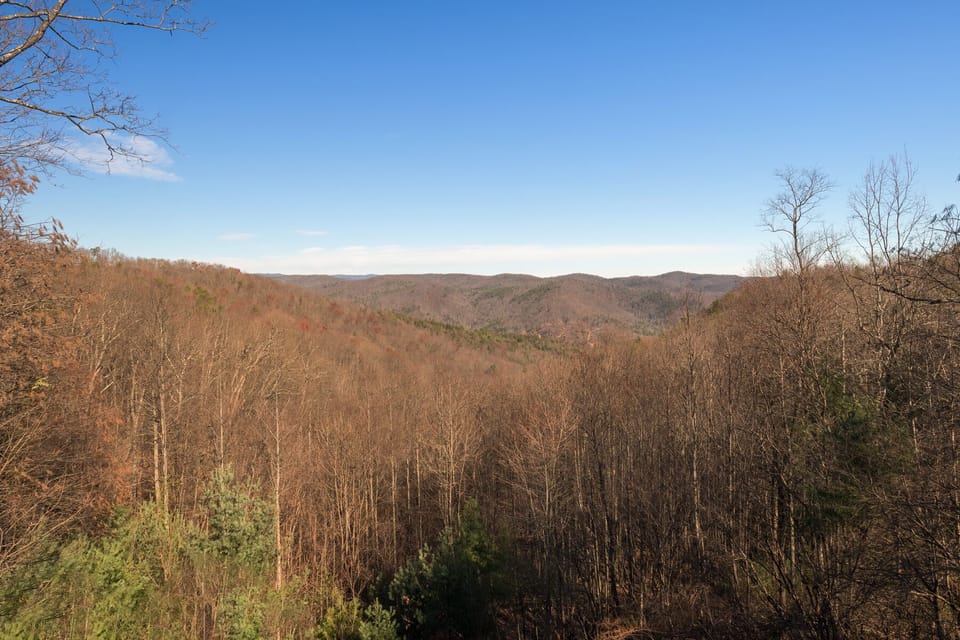 Bear Rest at Leatherwood Mountains