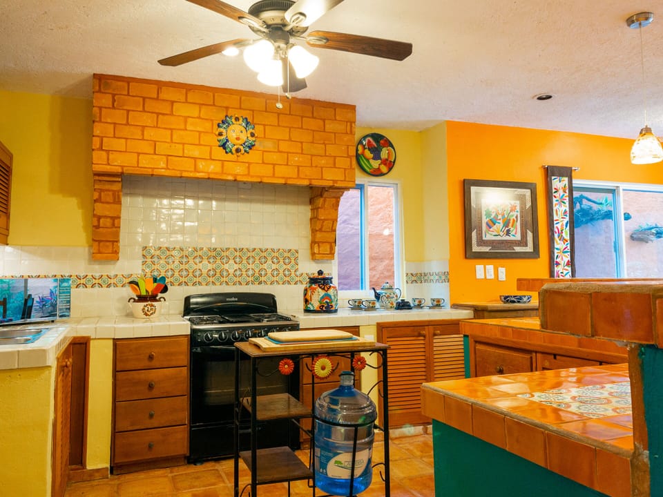 A kitchen-designer's delight - Stove and workspace.