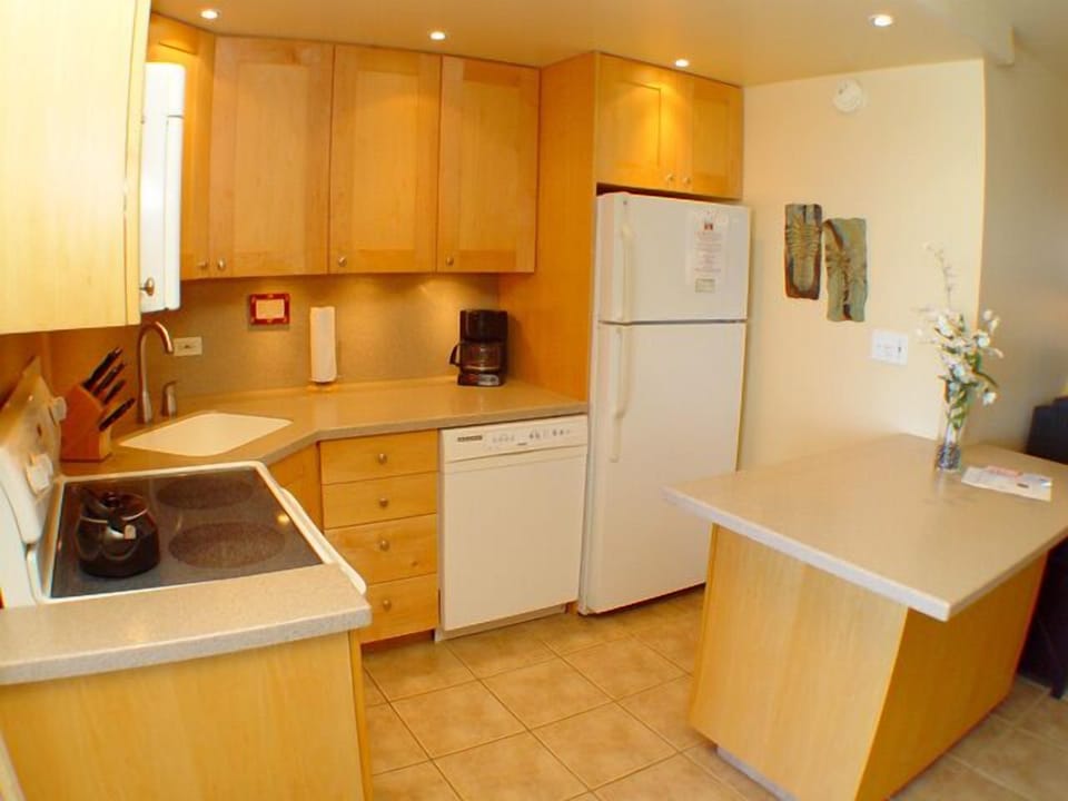 Kitchen - Newly remodeled Kitchen