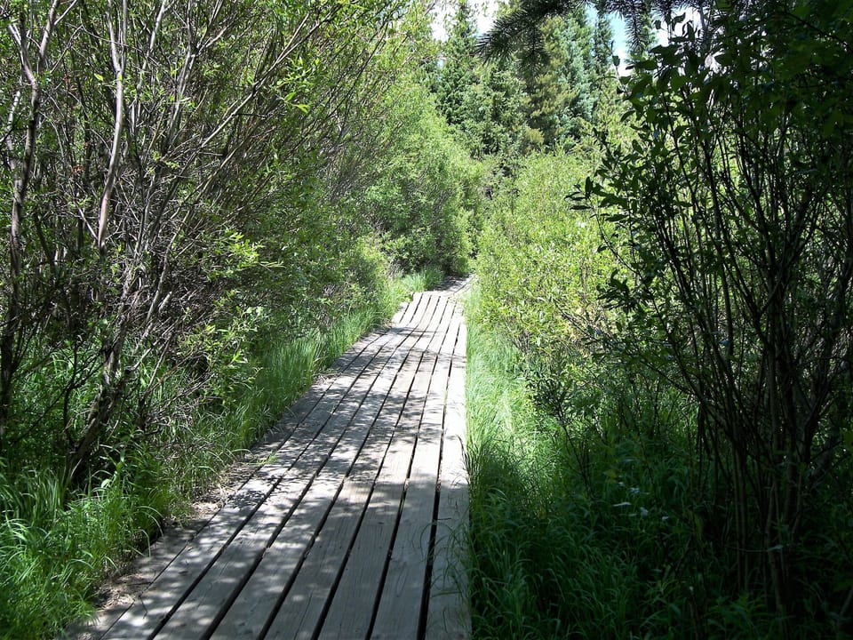 Buffalo Ridge Commons