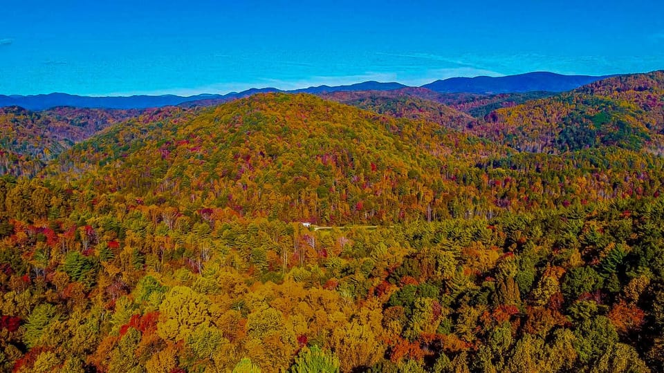 Peaceful Horizons at Leatherwood Mountains