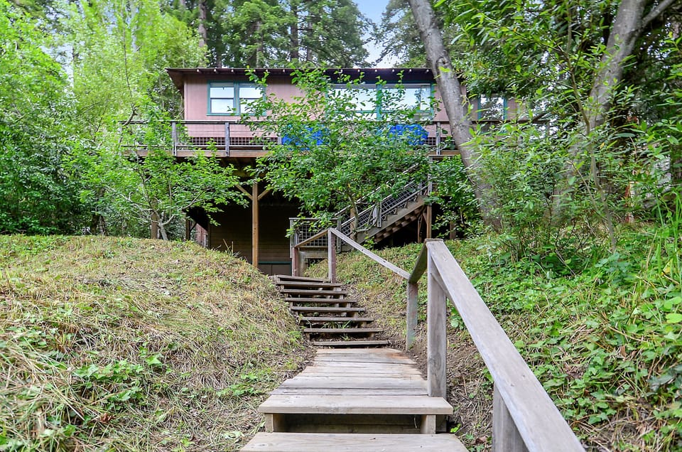 Welcome to Irish Mist!