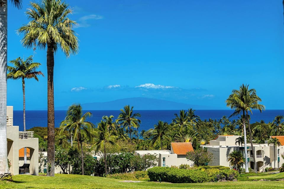 Tranquil resort setting surrounded by swaying palms