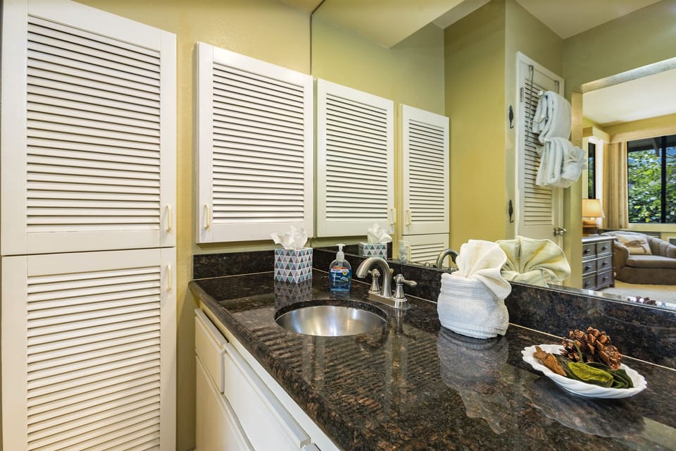 Thoughtfully designed guest bath with spa like touches