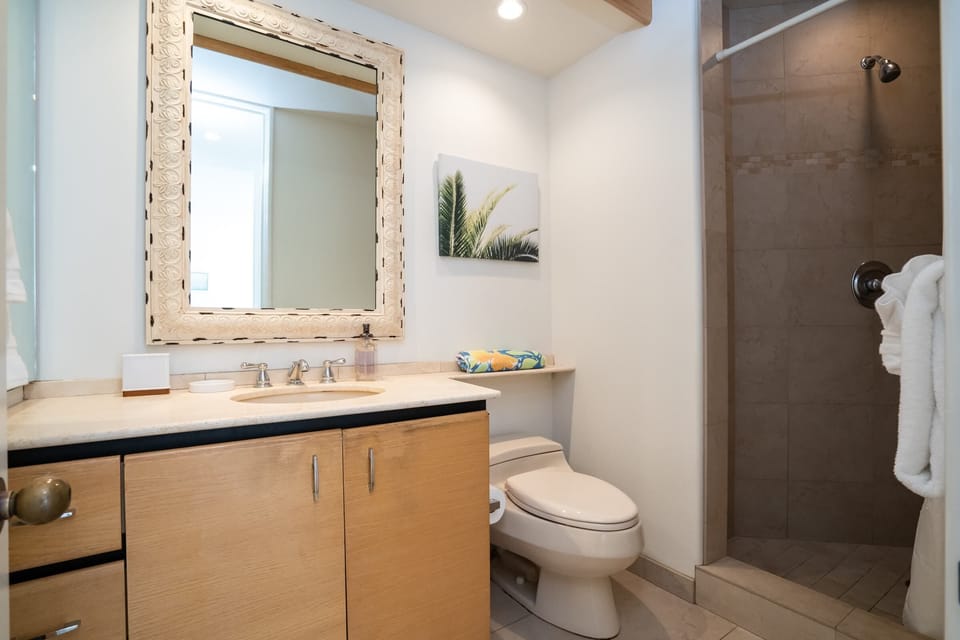 Guest bath w/walk in shower just down the hall from living area