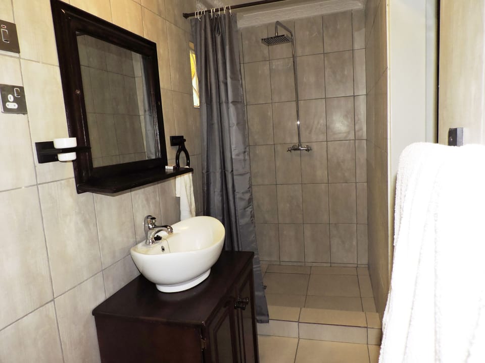 Deluxe Suite | Bathroom | Free toiletries, towels