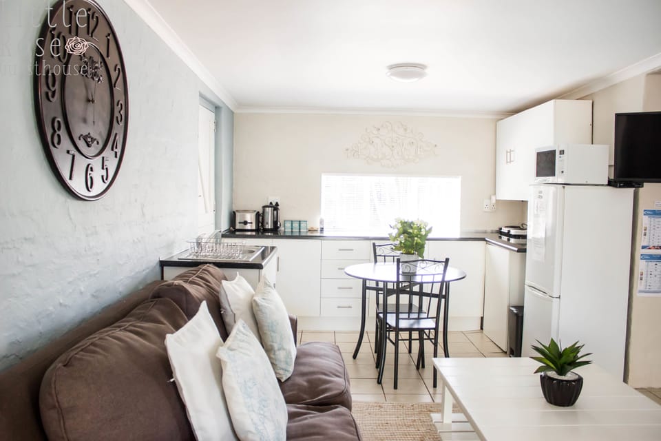 32-inch plasma TV with satellite channels, TV