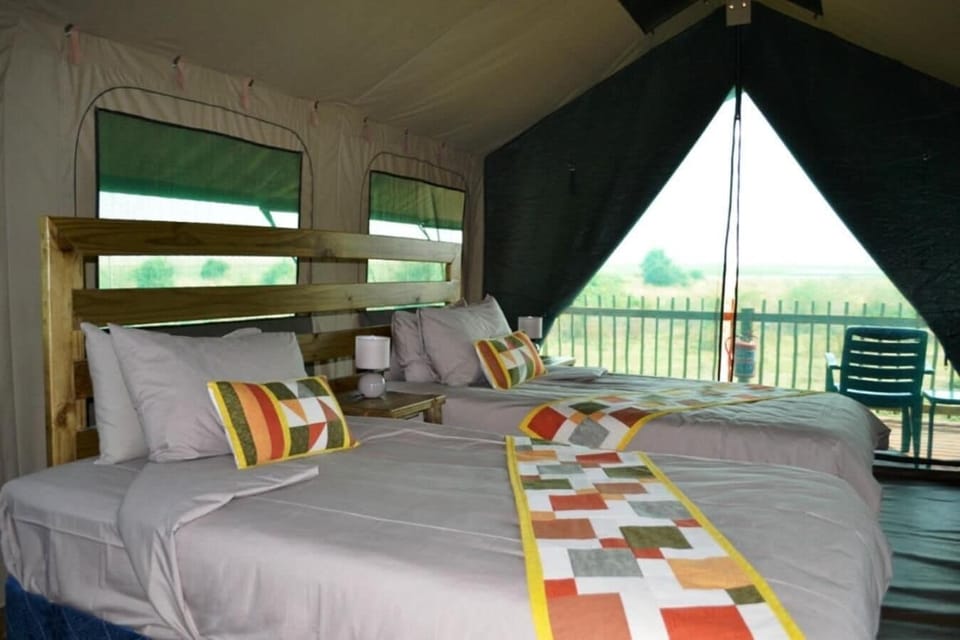 Premium bedding, WiFi (free), individually decorated, bed sheets