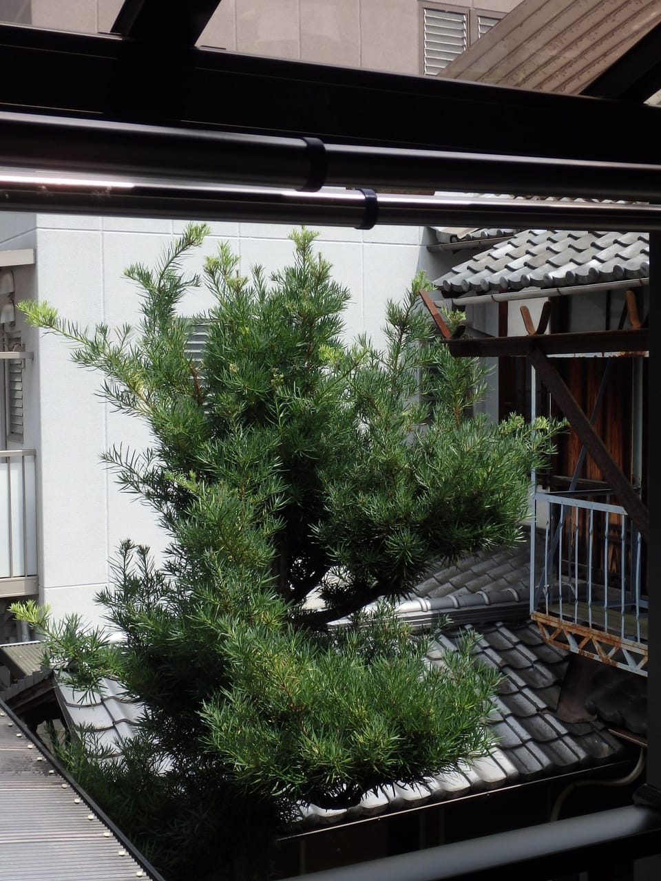 Balcony view