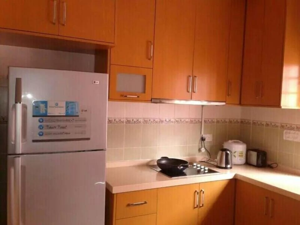 Fridge, microwave, stovetop, electric kettle