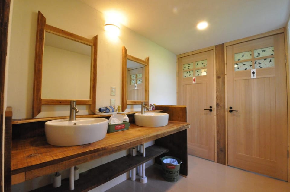 Separate tub and shower, hair dryer, slippers, towels
