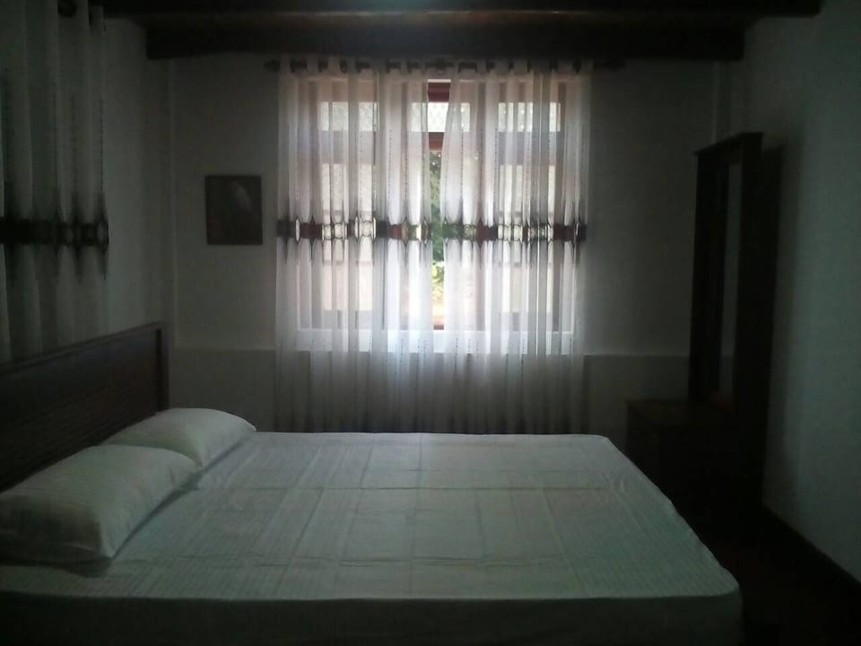 Deluxe Double Room | 1 bedroom, premium bedding, desk, soundproofing