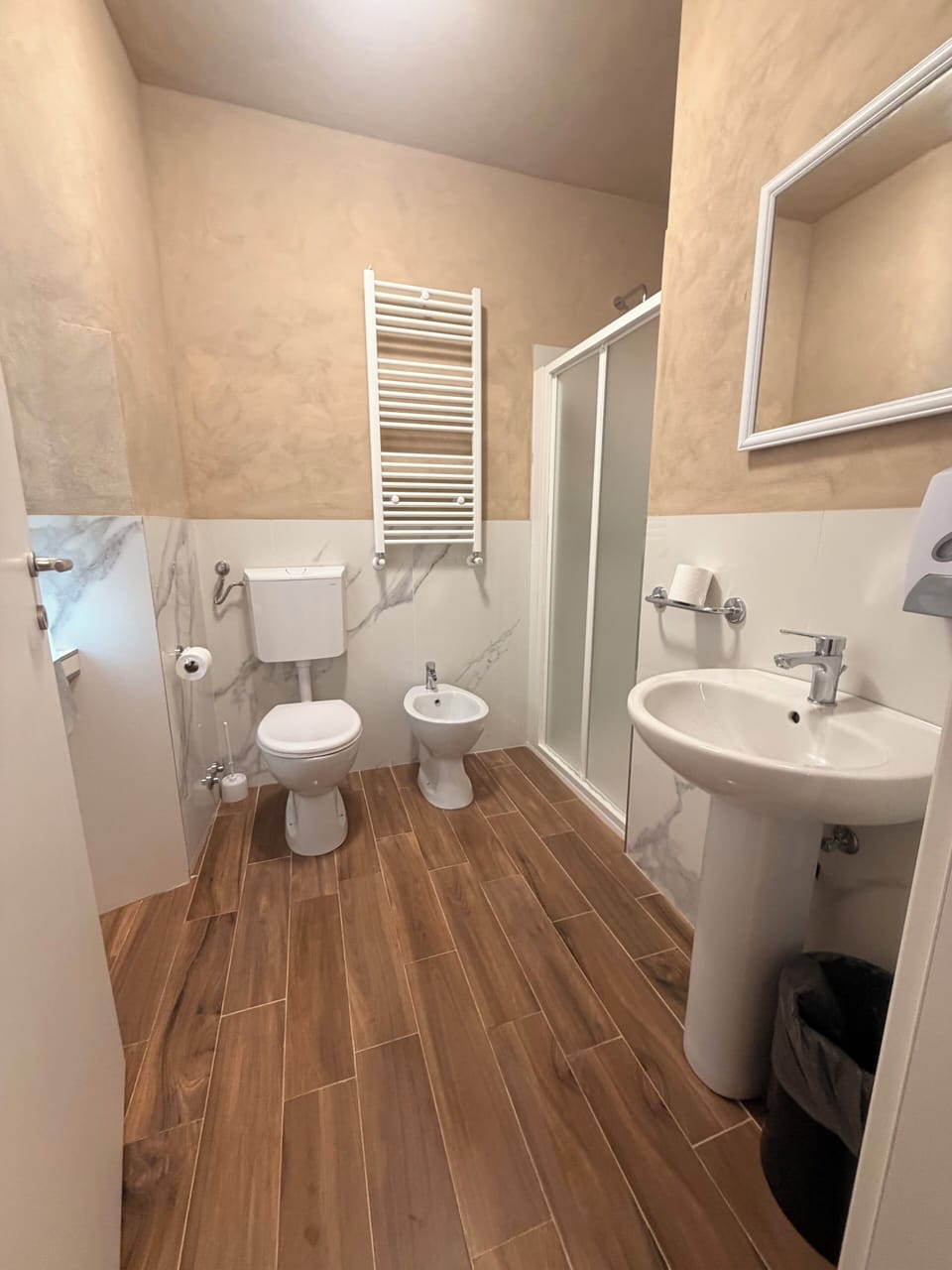 Hair dryer, bidet, towels