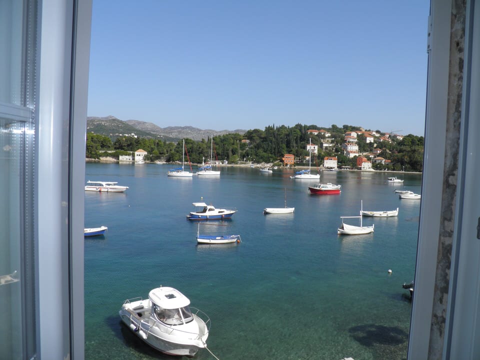 View from the room